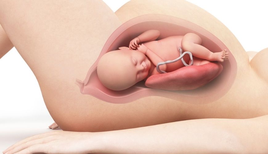 Medicina fetal