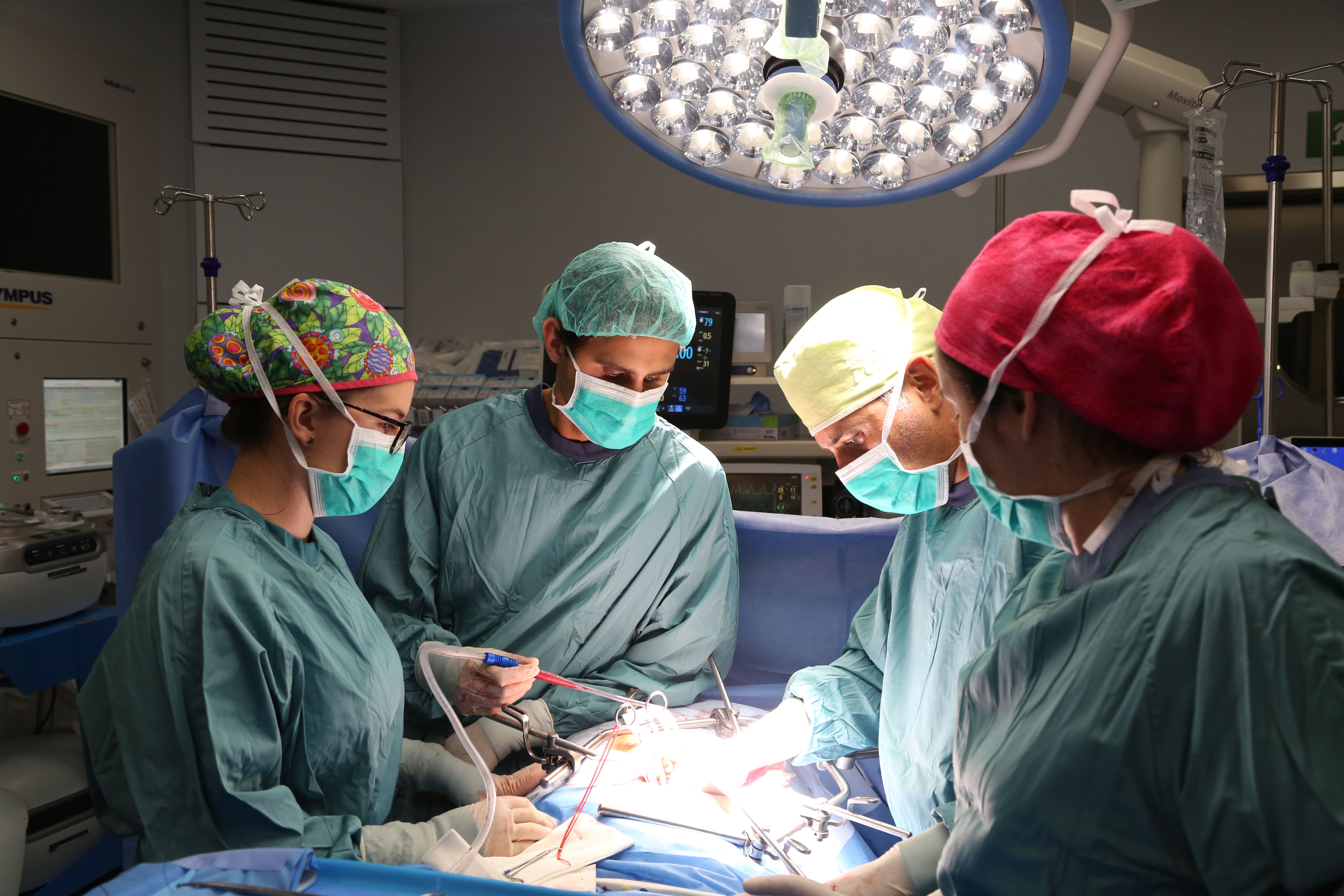 trasplantament-adult