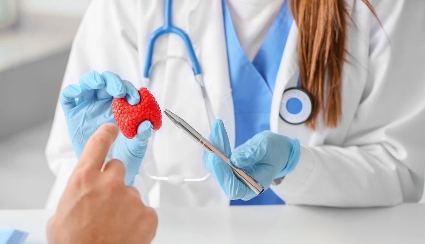 Endocrinologia i Nutricio