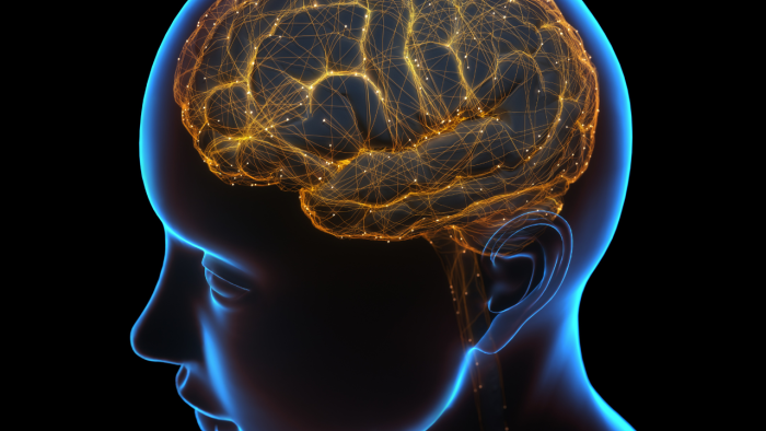 Estimulacio Cerebral Profunda