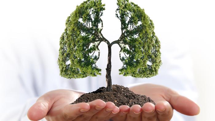 Càncer de pulmó Vall d'Hebron