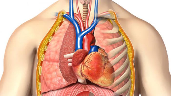 Drenatge venós anòmal pulmonar total a Vall d'Hebron