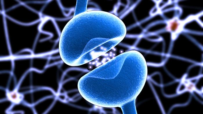 Esclerosi múltiple a Vall Hebron