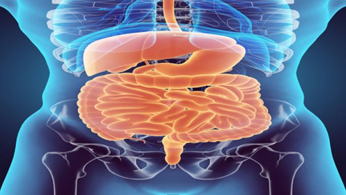 Manometria gastrointestinal a Vall d'Hebron