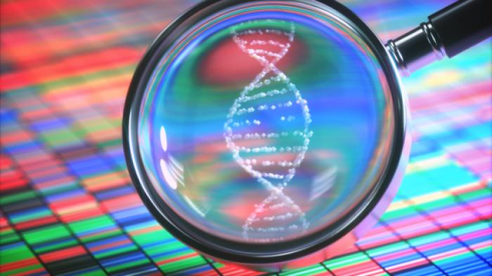 Proves diagnòstiques distonia