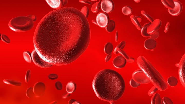 Trasplantament progenitors hematopoetics