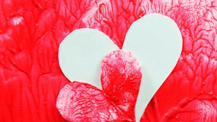 Trasplantament Cardíac