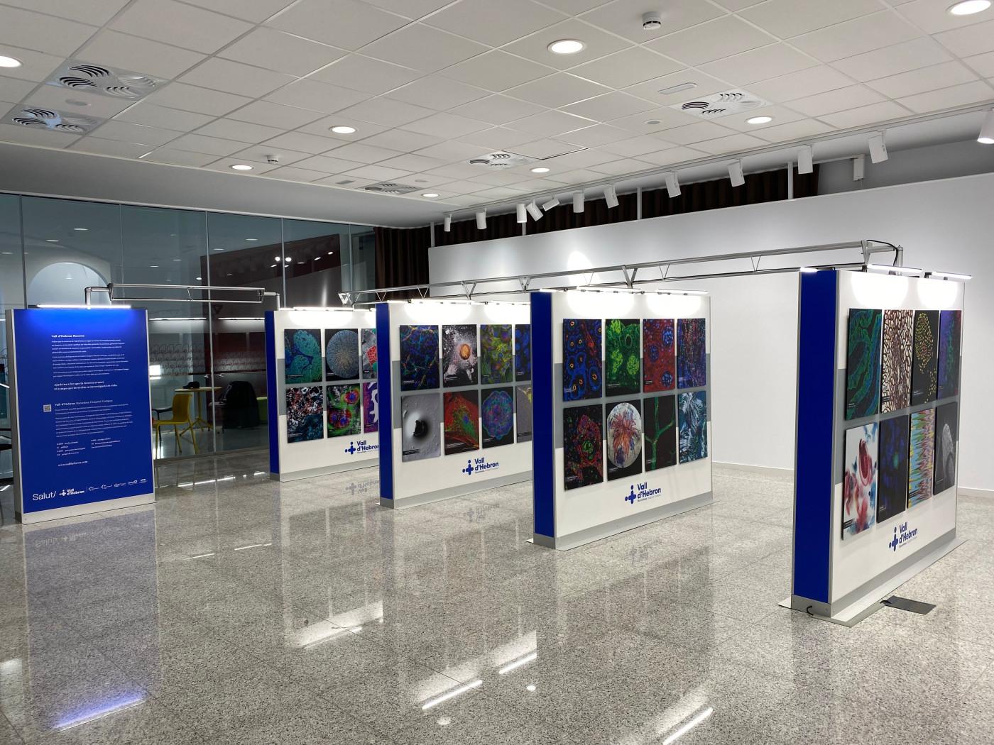 L’exposició ‘L'altra mirada de la recerca’ comença la seva itinerància per diversos espais de Catalunya