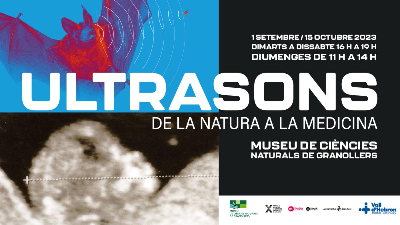 Ultrasons, de la natura a la medicina