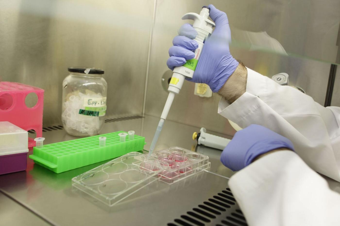 malaties immunòlogiques a Vall d'Hebron