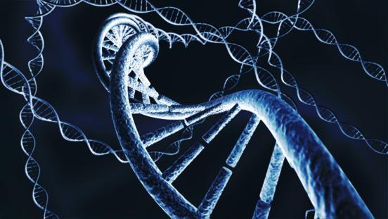 Predisposició genètica al càncer