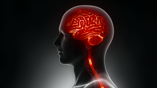 Epilèpsia a Vall Hebron