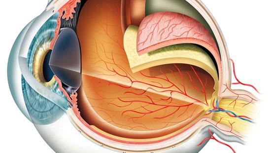 Tumors d’òrbita a Vall d'Hebron